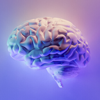 Image for Brain charts 