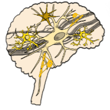 theme image