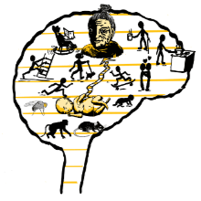 theme image
