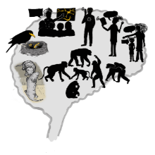 theme image