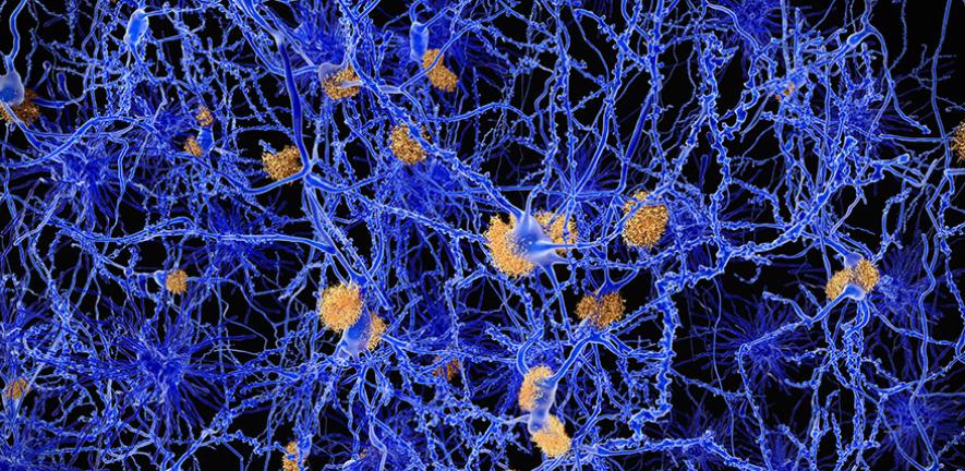 Image for AI-driven techniques reveal new targets for drug discovery