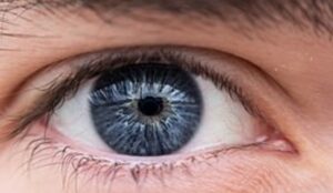 Image for Research Associate (Fixed Term) – Psychology