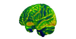 Image for Clinical Research Associate (Fixed Term)