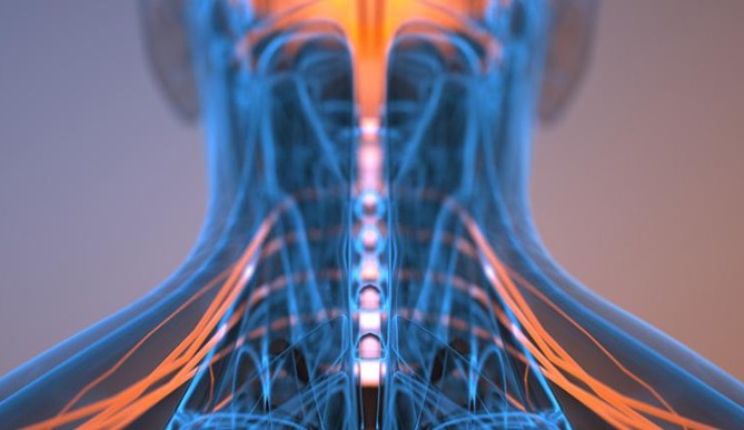Image for Robotic nerve ‘cuffs’ could help treat a range of neurological conditions